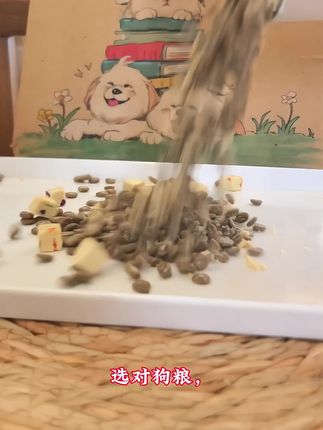 家里有挑嘴怪的试试肉璞家的乳鸽鲜肉犬粮,适口性好到我家狗子嘎嘎炫,赶紧安排上吧#肉璞鲜肉狗粮 #萌宠好物 #新手养狗 #狗粮推荐 #强烈推荐