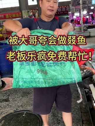 被大哥夸很会做叕鱼,老板乐疯免费帮忙!#杀鱼技术 #刀工 #大头鱼