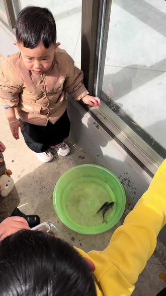 每天都在认真成长#幼崽的迷惑行为 #农村的小娃娃 #日常vlog #十亿流量扶持计划 @DOU+小助手 @抖音小助手