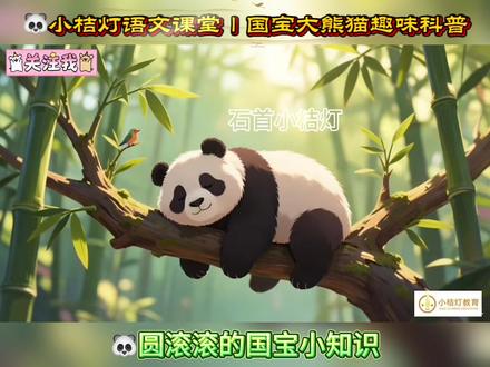 🐼小桔灯课堂|国宝大熊猫趣味科普 🐼小桔灯语文课堂|国宝大熊猫趣味科普
三年级宝贝们的大熊猫资料收集攻略来啦✨
✅黑白呆萌长相,藏着“第六指”小秘密👀
✅爱吃竹子的干饭小能手🎋
✅爬树游泳样样行的隐藏高手💪
✅不是猫!是熊科动物哦🐻
✅熊猫宝宝刚出生比老鼠还小🐭
✅中国独有珍稀活化石,当之无愧的国宝🇨🇳
爱护国宝,守护家园,
一起认识超可爱的大熊猫吧~
#大熊猫科普 #小学生知识积累 #小桔灯袁老师
#每日学习一点点