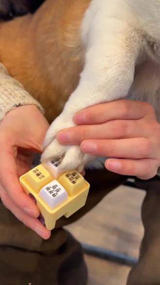 我要验牌解压神器来了!#我要验牌#小瘪三#给我擦皮鞋#解压神器#嘴替