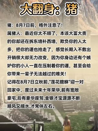 #猪 #生肖猪 #属猪
