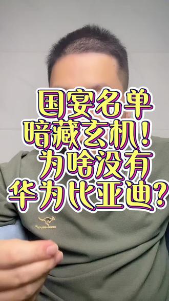 国宴名单暗藏玄机!为啥没华为比亚迪?#国宴 #华为 #比亚迪 #阿里巴巴 #国产科技