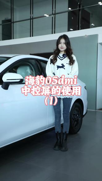 海豹05dmi中控屏使用小知识(1)#比亚迪售后 #比亚迪售后服务 #比亚迪精诚服务 #精诚一家 #比亚迪