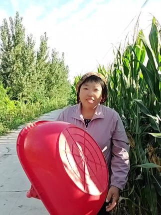 农用提大篮子,撒肥料,捡玉米 二姐百货。姐妹们,各种大篮子喜欢的点击小黄车,橱窗有好物