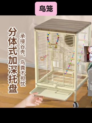 #鸟笼子 #养鸟人 鸟笼鹦鹉笼高透玻璃虎皮牡丹玄凤八哥横丝鸟笼别墅繁殖防溅洒笼子#鹦鹉笼子 #鸟别墅 #养鸟经验分享