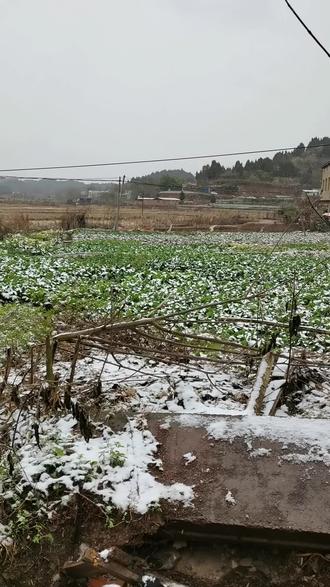 一九二九不出手,三九四九冰上走。又到了一年一度最冷的季节了#家乡#家门口的美景