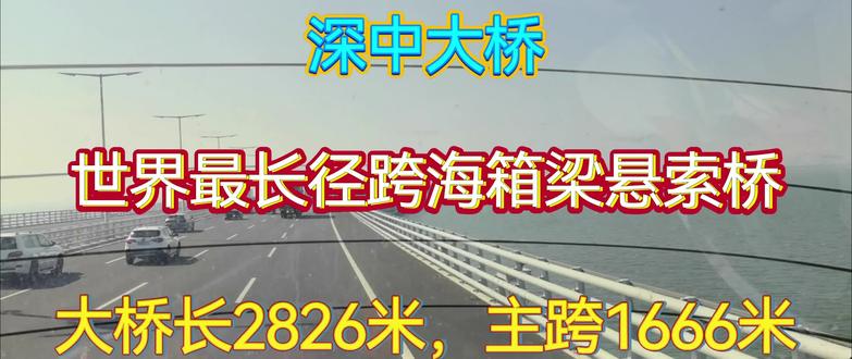 2025年12月12日我来到了深圳至中山世界上最长径跨海箱梁悬索桥。