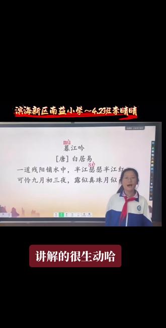 南益小学语文小讲师