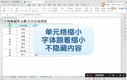 表格第七十七课:单元格缩小,字体随着缩小,单元格内容不被隐藏。#excel技巧 #每天学习一点点 #我的职场日记
