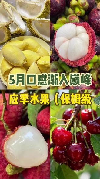 五月份应季水果推荐 5月口感渐入巅峰的应季水果指南,保姆级推荐 #水果 #水果推荐 #水果自由 #应季水果 #新鲜水果