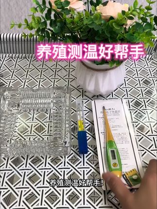 养殖测温好帮手#养猪 #养猪场#养猪人加油干 #养猪人不容易