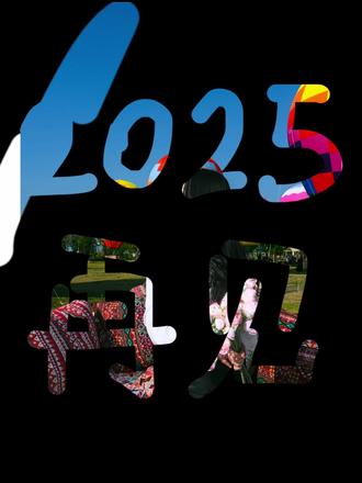 🧨 𝟐𝟎𝟐𝟓,正式杀青!🎬
“好的坏的,都是独家限定
感谢这一年的四季晨昏
更感谢从未认输的自己”🫶
#2025年年度总结