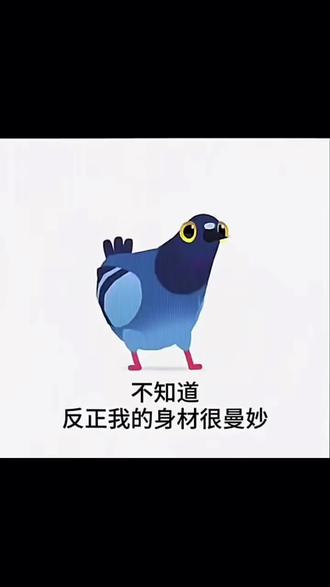 不知道
反正我的身材很曼妙
#我的身材很曼妙