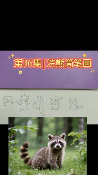 第36集|浣熊简笔画,看零基础画的浣熊简笔画,超萌!纸上小浣熊灵动简笔画 #我的小萌娃 #绘画教程 #简笔画世界 #动物科普 #画画