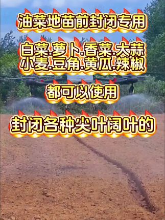 油菜地封闭,白菜地封闭,萝卜地封闭,整季地里干干净净#油菜地封闭 #封闭各种尖叶阔叶的 #白菜地封闭 #苗前封闭