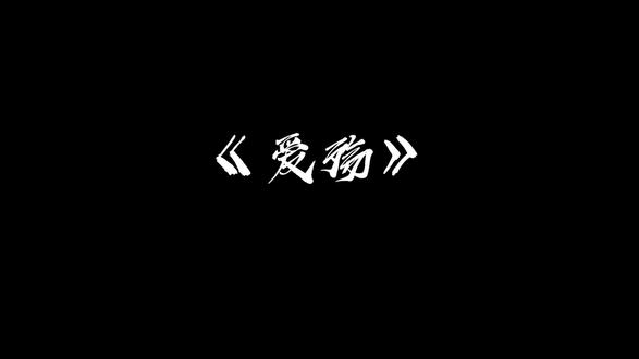 你曾经是我的边疆#音乐#爱殇#