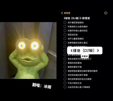 和 @废物咯 一起 #合拍 毕竟我的心也是肉做的。#绿色#dj #陈雪凝 #翻唱