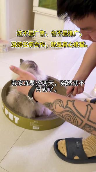 猫不拉屎不吃饭,以为要救命,结果只是嫌猫砂脏 养猫的人注意了
这条视频真的很重要
我家冻梨这两天
不吃饭 不喝水
不拉屎 尿也特别少
肚子摸起来胀胀的
我以为它误食东西
昨天都准备带它去医院拍片子
结果今天早上
我媳妇给它换了新猫砂
它立马就去拉了很多
又尿了一大坨
我们才明白
它是嫌猫砂太脏太臭
硬憋着不上厕所
猫咪真的很敏感
猫砂不舒服 它能憋到生病
千万别随便换猫砂
更不要用劣质猫砂
希望所有毛孩子
都能健健康康长大#养猫经验分享 #猫咪冷知识 #铲屎官的日常 #新手养猫 #萌宠日常