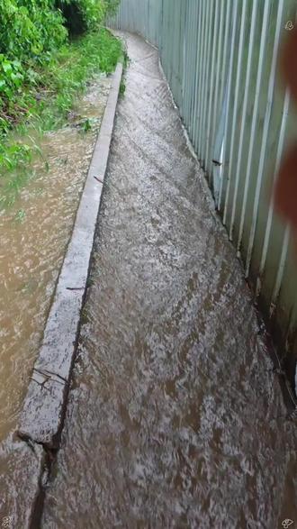 #路面涨水 #一场大雨的洗礼 当牛马已经很辛苦了,能不能不要在我上下班的时候下雨,我当的是牛马,又不是开的宝马#大暴雨