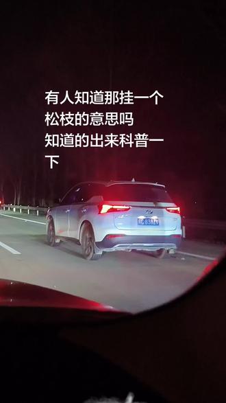 大数据来科普一下这挂一个松枝是啥意思,哪里的风俗。#高速上 #哪里风俗 #抖音小助手