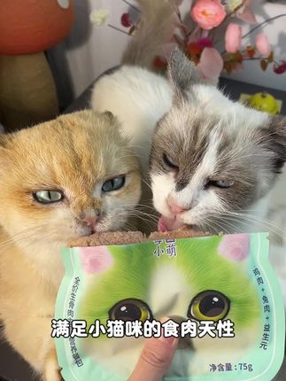 挑食的小猫咪先别扔,快给它试试这个全价生骨肉主食餐包!#猫咪补水#餐包#萌宠好物#新手养猫