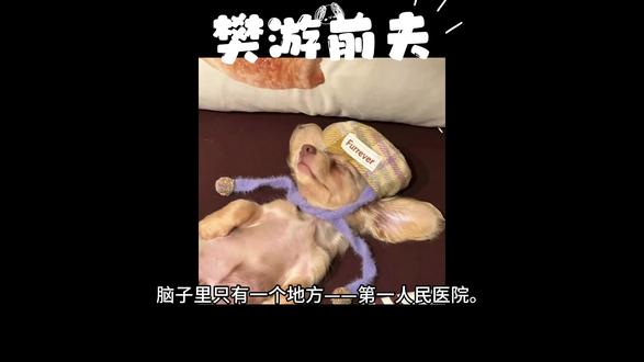 【樊游前夫】为了救儿子,游书朗拨通了前夫的号码,亲手把尊严踩碎在樊霄面前 #樊游 #樊霄游书朗 #ooc致歉 #同人文