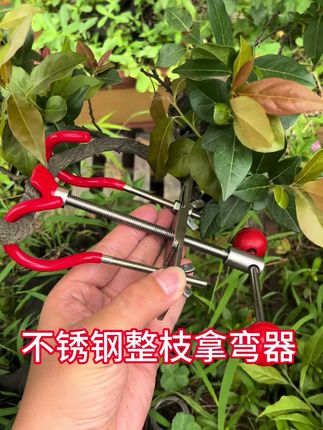 不锈钢整枝拿弯器,一个轻松搞定造型难题#整枝器 #园林工具 #盆景制作