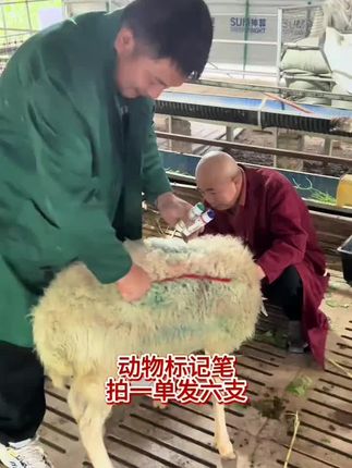 #动物记号笔#养殖好帮手#养殖#支持三农扶持三农发展