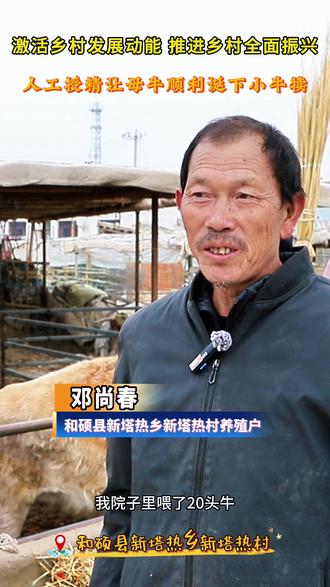 激活乡村发展动能 推进乡村全面振兴 人工授精让母牛顺利诞下小牛犊