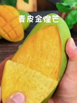 超级好吃的广西青皮金煌芒 皮薄肉厚,果肉细腻,生熟两吃 #芒果 #新鲜应季水果 #现摘现发新鲜到家 #金煌芒