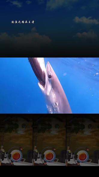 #钓鱼之路亚王者,#抖音小游戏 今天又出来钓鲨鱼了,没办法有这条件。#路亚钓鱼 #钓鱼的乐趣只有钓鱼人懂 #钓鱼人就是这么疯狂