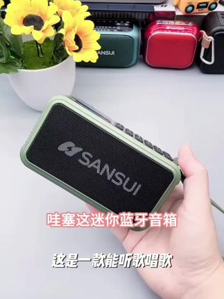 2025新款户外防水骑行蓝牙音箱低音炮大音量插卡收音机超长续航#新科技 #路虎汽车 #风扇 #好物推荐🔥