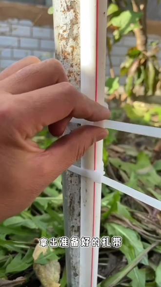 尼龙塑料扎带卡扣强力束线带绳电线捆绑带固定器自锁式... #太好用了