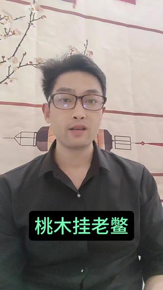 #公鸡 #老鳖 桃木挂老鳖碰到公鸡打鸣不知道会怎么样?