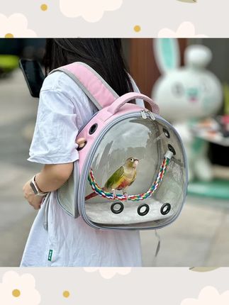 鹦鹉外出双肩包透明便携鸟笼玄凤牡丹虎皮仓鼠兔子豚鼠龙猫幼猫包#鹦鹉外出背包