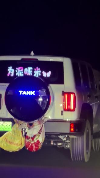 #大鹅🪿我想说这大鹅晕车了咋么办