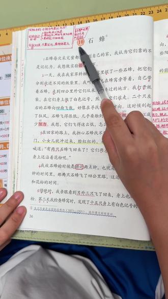#真实生活分享计划 #小学语文 三年级下册10石蜂