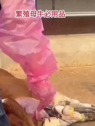 与牛为伍兽用饲料伴侣维生素ADE鱼油浓缩粉(拍五发六拍十发十三)#牛羊养殖#牛饲料 #养牛人