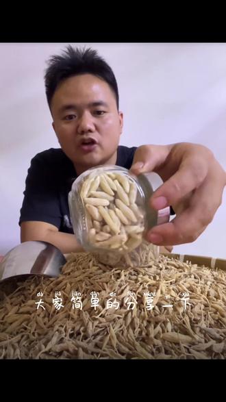 野生麦冬与种植麦冬的区别,快点看看! #健康食材纯天然无添加 #家乡特产干货 #专注家乡特产 #川麦冬 #麦冬