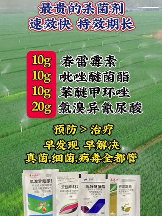100多种病害全都管,除了豆角任何作物都可以使用#三农#效果好#农业知识分享#上热门#炭疽病