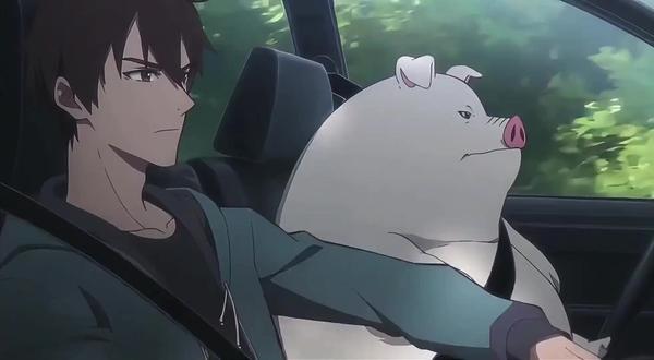 让猪来接我 我迷路了#抽象 #动漫推荐 #沙雕日常