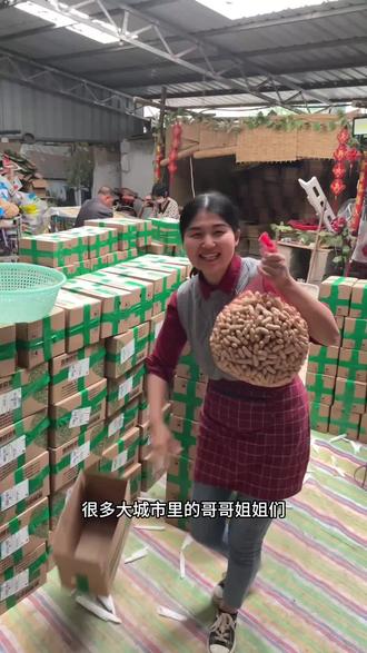 既能煲汤煮粥又能生吃的红皮花生,还可以当种子哦! #四粒红花生 #带壳干花生 #2025年新花生 #粒粒精选颗颗饱满