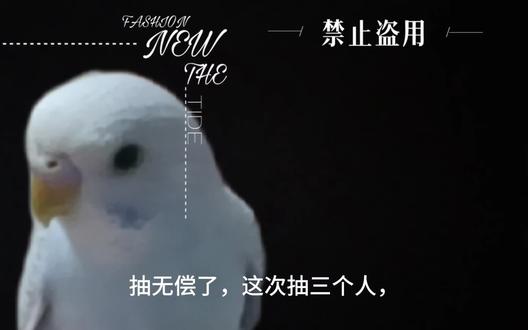 无任何不良影响,只是想求安慰,把自己的oc发到评论区里面,我会随机抽三人画无常,然后可以在评论区里说一下,在私信里发还是直接在评论区里发?