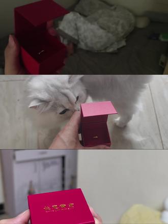 我不是在单方面的向她求婚,她也在用更庞大的爱拥抱我
落日向晚的浪漫,不应该只有我一个人看@ohana