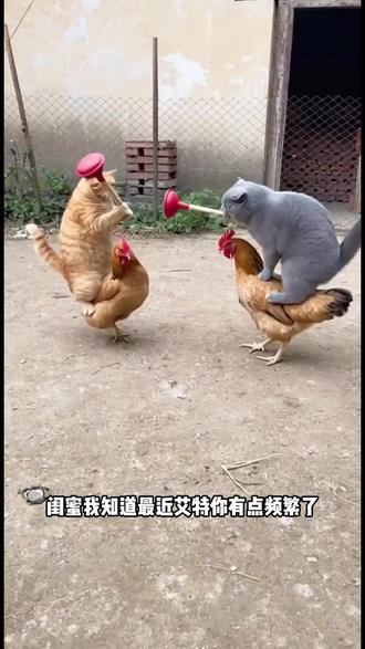 闺蜜 求你了 寒假和我一起玩 #闺蜜 #suki #情侣云养娃 #抽象