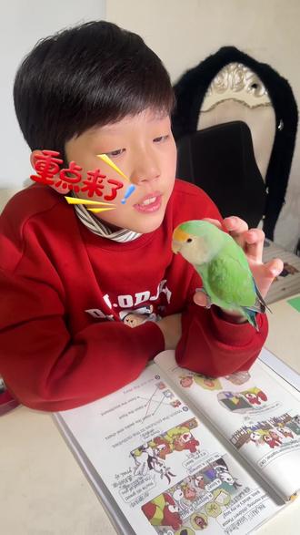 别再硬灌了!豆包5个方法带娃学英语,娃越学越上瘾📈#豆包 #豆包学英语 #陪娃学习 #陪娃写作业 #ai学习