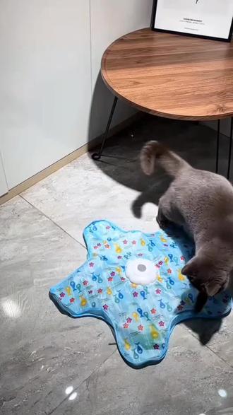 解放双手,不用陪它玩啦 #小猫玩具 #五角星玩具 #宠物#猫咪自嗨解闷玩具#好物推荐