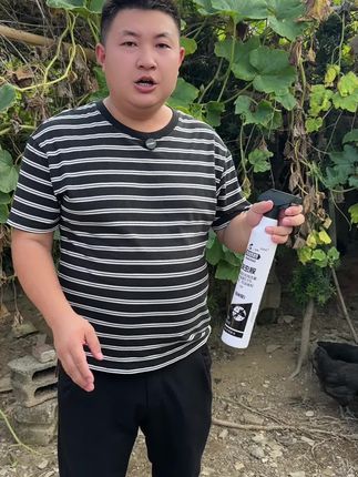 这款鸡奶奶杀虫剂对咱们的家禽没有伤害,对我们的苍蝇蚂蚁跳蚤蟑螂臭虫特别的管用,而且还是无味型的#强烈推荐 #杀虫剂