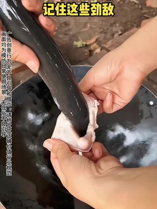 #依兰香 的含金量还在上升!谁懂啊啊!真的好好好闻啊啊 #沐浴露 #沐浴露推荐 #持久留香沐浴露 #在抖音入手的好东西